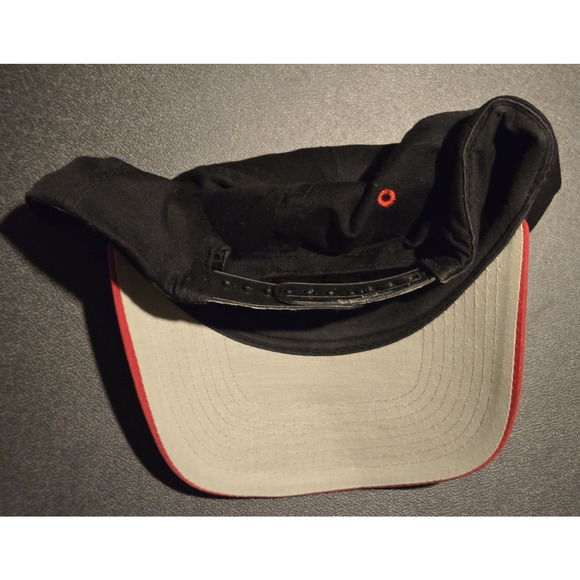 Vintage Chicago Bulls Snapback Hat + Michael Jordan & D.Rodman Graded card Lot - Picture 5 of 9